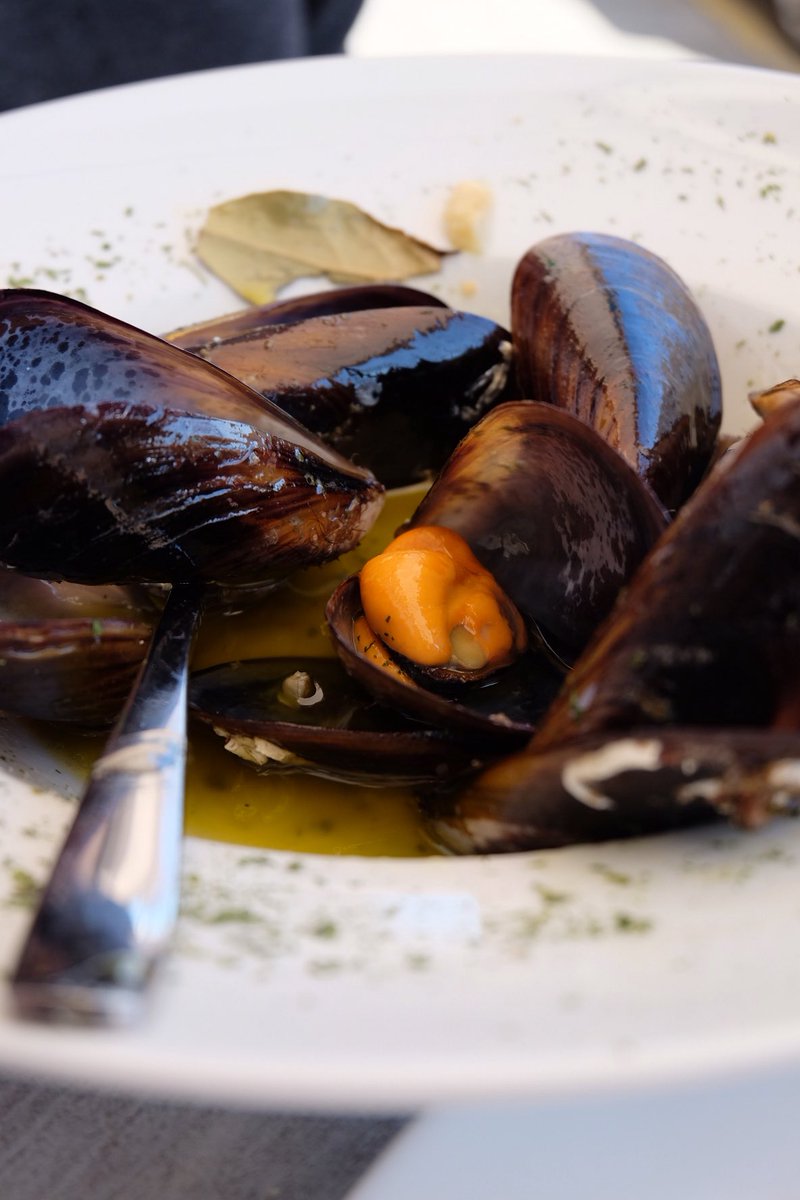 Incredible muscles 💪 and Puerto Fino #Sherry <a href="/BodegaGColosia/">Gutiérrez-Colosía</a>