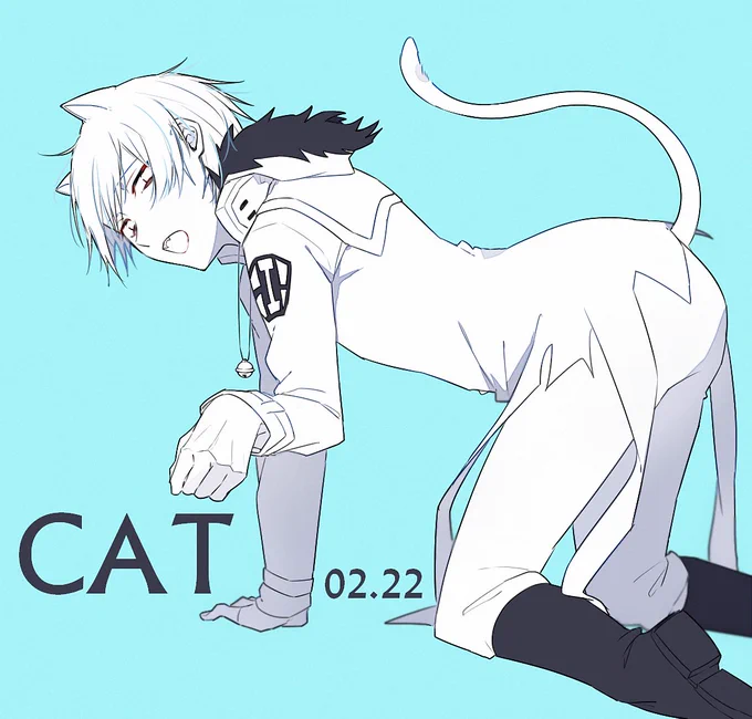 🐱🐱🐱🐱 