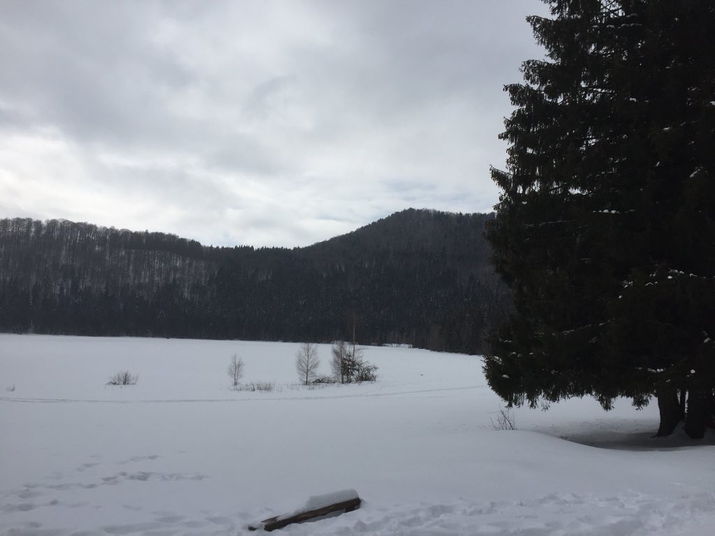 RuralGrowthIE's tweet photo. Visiting the site of volcanic crater lake in national park in #Harghita county. Lac Sfânta Ana. #RuralGrowth. https://t.co/PhPKAZG2Aq