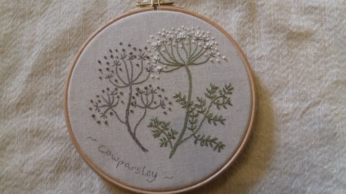 curlykath's tweet image. Embroidery is immensely calming and satisfying. @silverpebble this is my take on your #makingwinter bearable advice. It's cowparsley synchronicity!