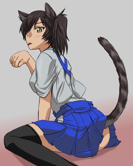 猫の日だから!猫の日だから仕方ないよね!
#艦これ #加賀 