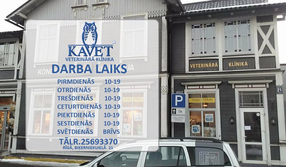 Esam priecīgi paziņot,ka Rīgā ,Biķernieku ielā 21 Mājas Mīlulis telpās  darbu uzsākusi veterinārās klīnikas Kavet filiāle.Būsiet mīļi gaidīti!  Tālr.25693370