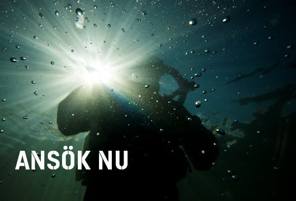 sjostridsskolan's tweet image. Marinen söker röjdykare
jobb.forsvarsmakten.se/sv/lediga-tjan…
#sjöstridsskolan #marinen #svfm