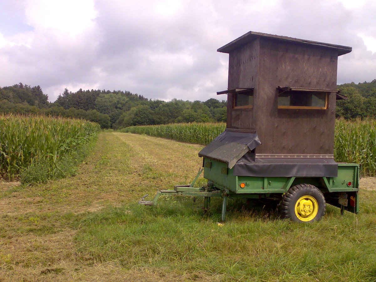 #ASP: DJV und <a href="/Bauern_Verband/">Deutscher Bauernverband e.V.</a> rufen Landwirte zum Anlegen von Bejagungsschneisen im Mais auf bit.ly/2EVHaGO