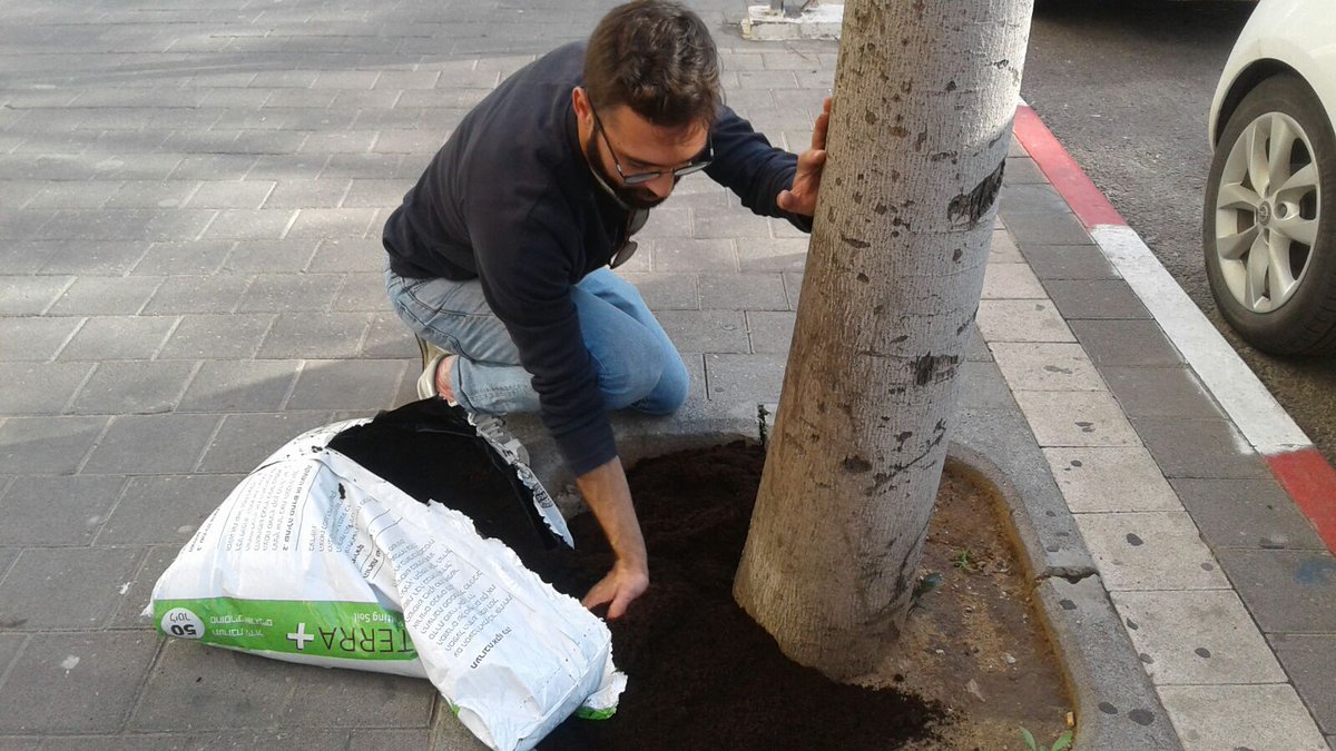 Piloting our 'adopt a tree' initiatives in 4 treeholes with nearby businesses and residents. Learning what's the best maintenance and ownership model before expanding to 55 treeholes across the neighbourhood. #iteams