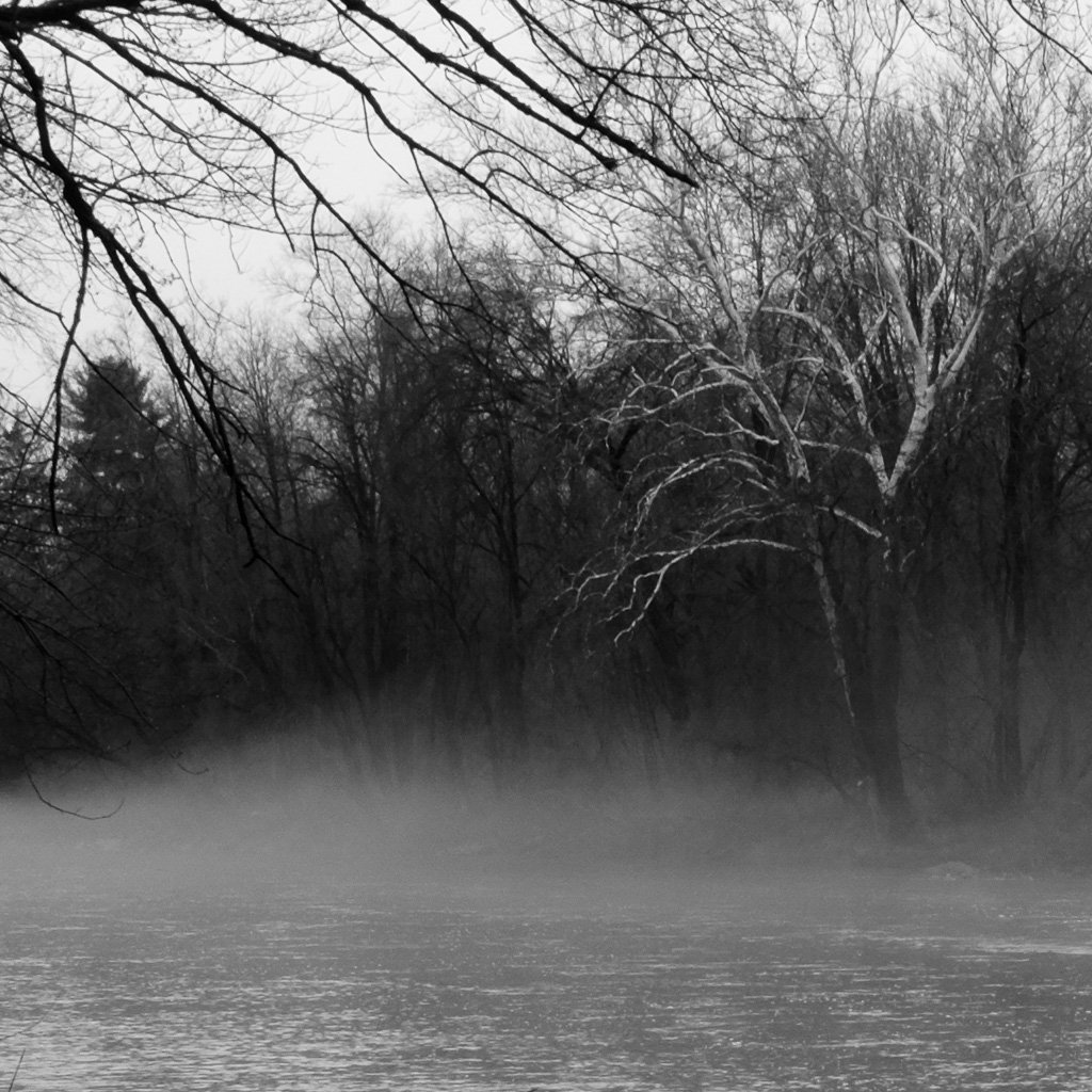 MyphotoCRnr's tweet photo. misty morning #fujifilm_xseries #fujifilmxseries #fujiaddict #blackandwhite https://t.co/1tGB8ehAxk