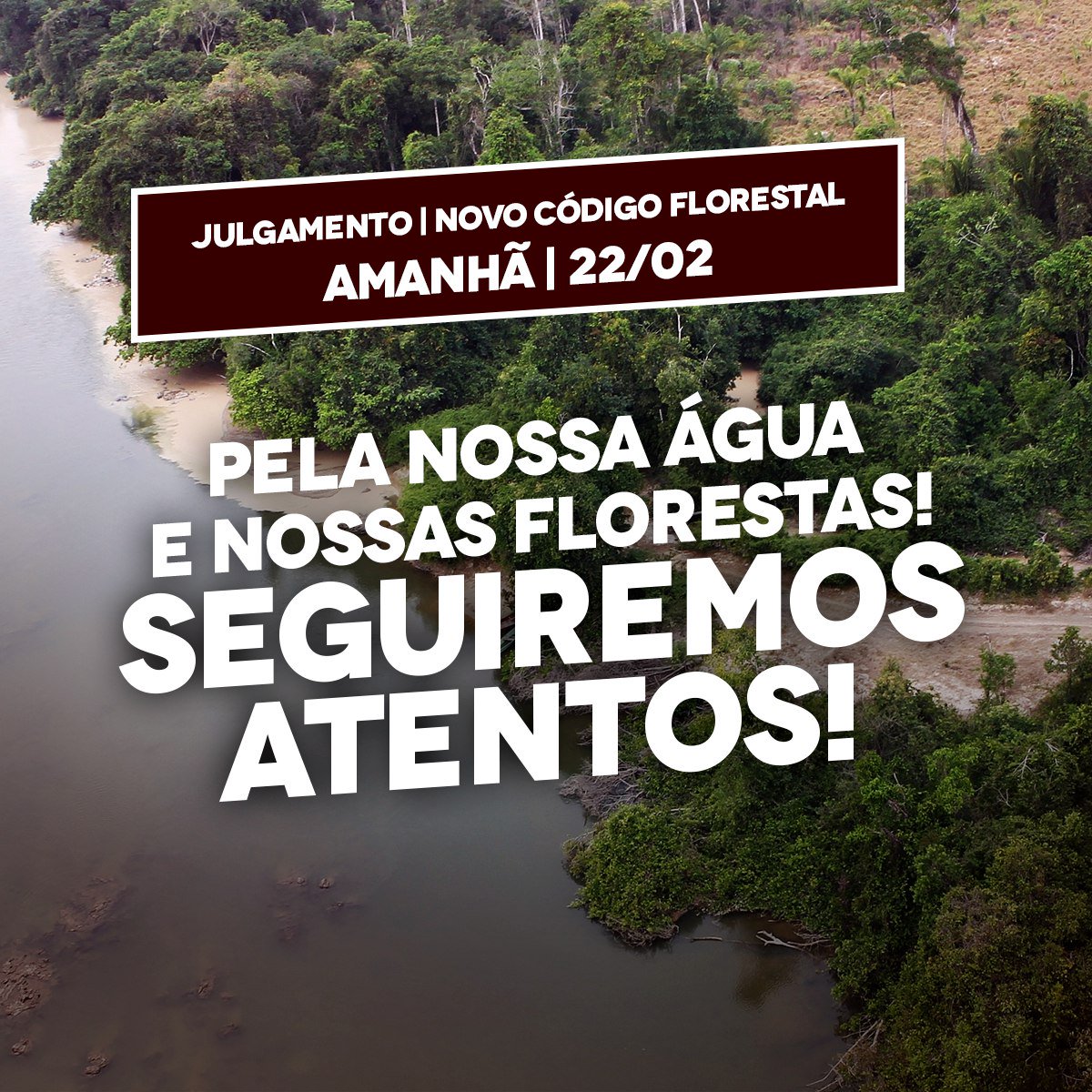 sosma's tweet image. O julgamento da inconstitucionalidade  que tratam do novo #CódigoFlorestal vai continuar hoje. Veja o nosso posicionamento e continue acompanhando o desfecho dessa história: bit.ly/2gvksLr #NovoCódigoNão