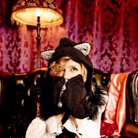 今日、2月22日は猫の日なので、車で、Acid Black Cherryの黒猫～Adult