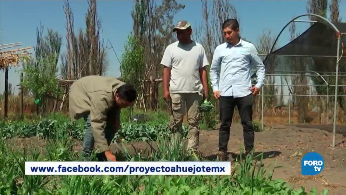Ftv_Fractal's tweet photo. El trabajo de #ProyectoAhuejote 🥗 para rescatar la agricultura en las chinampas de Xochimilco y hacer sostenible a la Ciudad de México, por @RobertFco: https://t.co/6kf77bDOYc https://t.co/z1pyUsKu6H