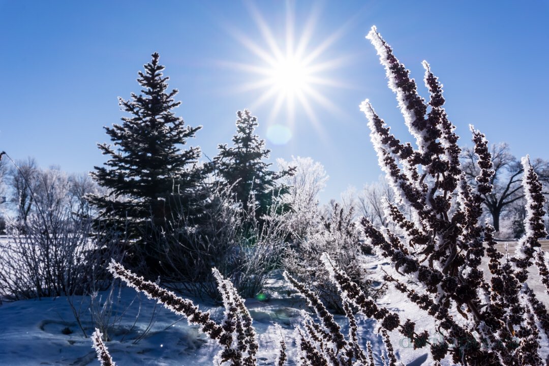 YXEWeather's tweet photo. #POTD MT: @dwilapix Embracing the weather! #winterwonderland #winterwalk #winterwalks #winterwalking #hikingismagical #optoutside #cbcskwinter #exploresask #universalviews #captures_scenic #nature_obsession #nature_obsessions_landscapes #fotocatchers #becausecanada https://t.co/FKha7uYijA