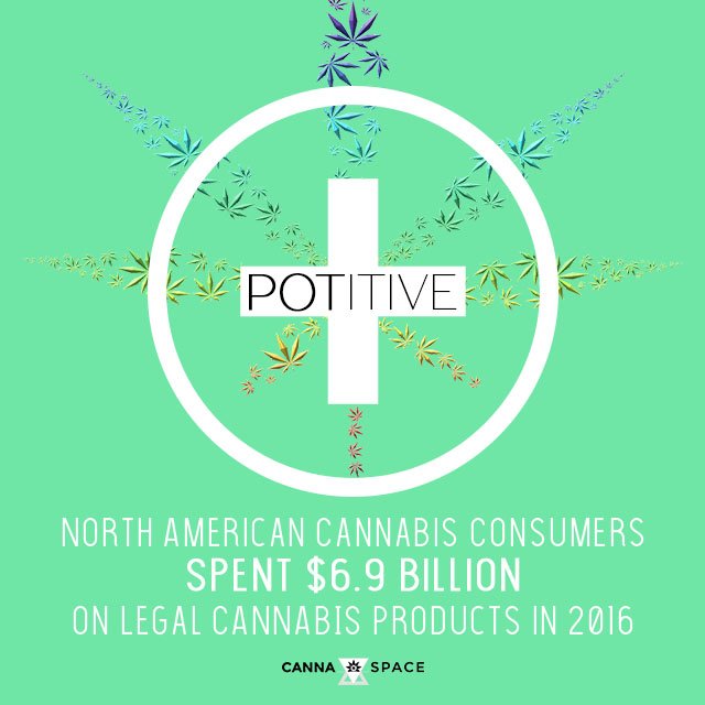 thecannaspace's tweet image. things that make you go hm...🤔throwing it back to 2016 with today's potitive 🌱➕💚#potitive #positive #pot #facts #promotion #legalizeit #normalizeit #liftthestigma #revenue #sales #industry #growth #powerinnumbers #cannabiscommunity #cannabisculture #womenandweed #420friendly