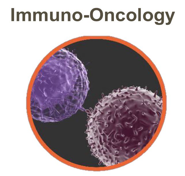 GSKUS's tweet photo. #ICYMI: Axel (our Head of #Oncology) just shared w/ the #phlcancersummit our key areas of focus in #cancer research - here they are: https://t.co/PlINgE2Ls0