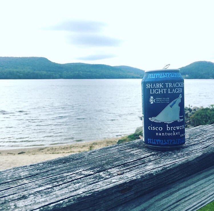 Celebrate with #SharkTracker, you're one day closer to Friday! #ThursdayThoughts 🦈🍺🦈