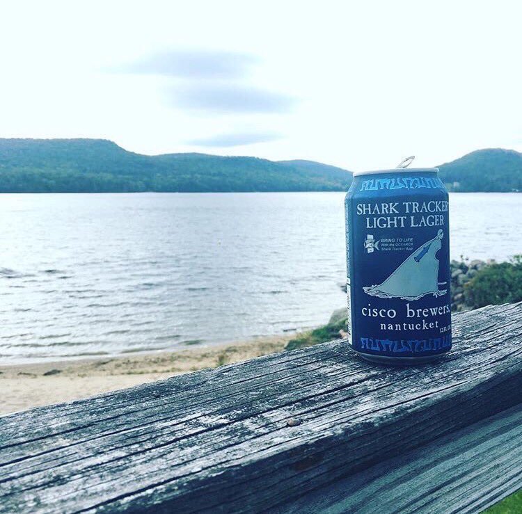 Shark_Tracker's tweet photo. Celebrate with #SharkTracker, you're one day closer to Friday! #ThursdayThoughts 🦈🍺🦈 https://t.co/EumhiSfGNS