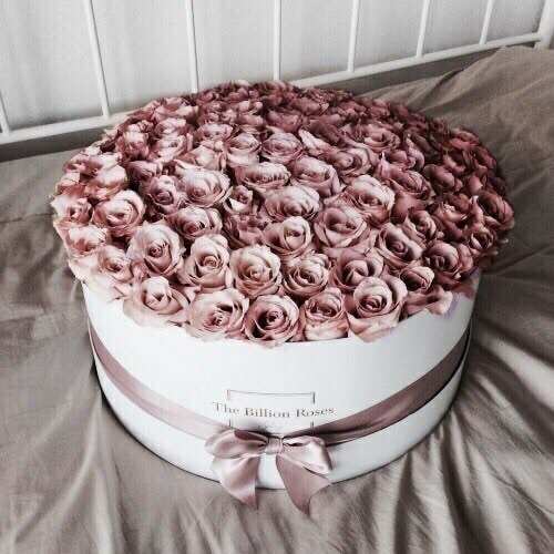 daefnik's tweet image. " I remember the first moment I met you, i realized that somehow the rest of the world seemed to vanish when I was with you."

Happy Anniversary, sunshine. Here, a puppy and a flowers for you, not baby breaths, i'm sure you're bored of it. Let's raise that puppy shall we?