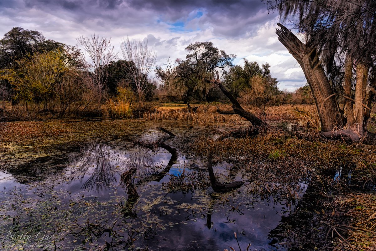 nattygur's tweet image. #CAS 26-Organizations base on #ComplexAdaptiveSystem need to realize:
State of Paradox. Dynamics in complex adaptive systems combining both order and chaos. CAS characterized by a state of paradox: stability and instability, competition and cooperation, order and disorder.