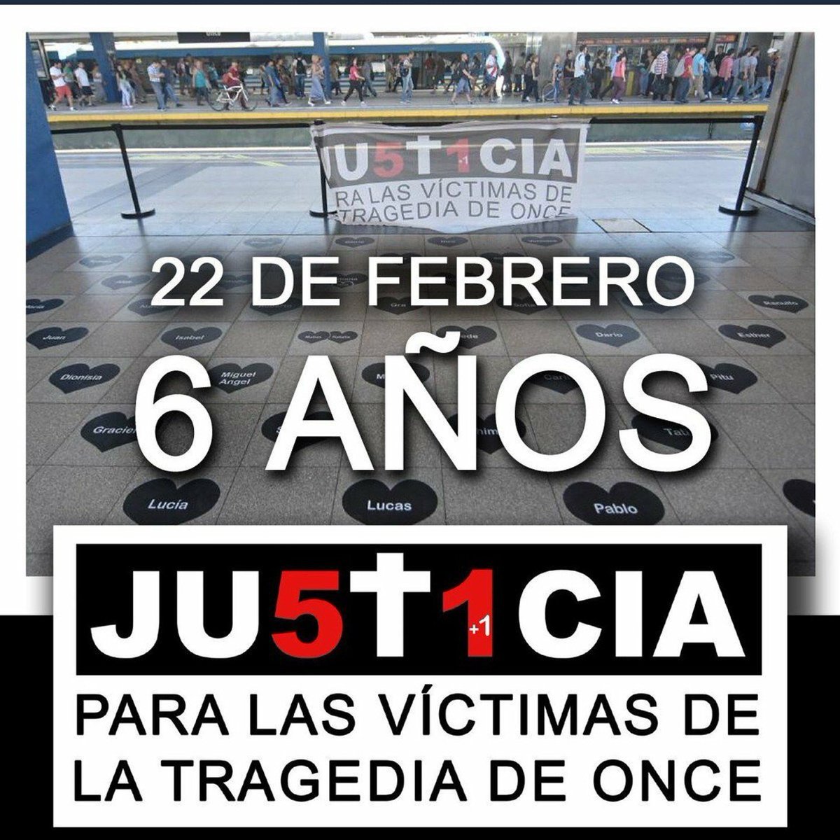 vivisacconeok tweet picture