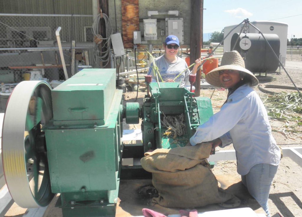 tania_eulalia's tweet photo. #FelizDiaDelAgronomo a todxs mis colegxs por su noble labor, siguamos cultivando la tierra y trabajando por nuestra #SoberaníaAlimentaria #seguridadalimentaria #campomexicano #maiznativo #womeninagriculture #irrigacion #foodsecurity #watersecurity #Chapingo #mujeresenagricultura https://t.co/bxnSivde3b