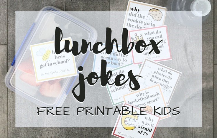 TsLearningCtr's tweet image. Too much fun! Great idea for the kiddos! #sillykidjokes #lunchbox #funlunch #lunchboxfun #VPKJacksonville #pontevedrachildcare ow.ly/d9vs30isM9J