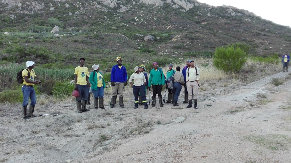 FynbosEstate's tweet photo. These last days we hear the low rumble of the ‘Working for Fire’ truck and the cheering morning songs of its occupants. Subsidised by Cape Nature Conservation, they have come to clear alien vegetation towards the top of the mountain. #capenature #fynbosestate https://t.co/7FCjTWWxeW