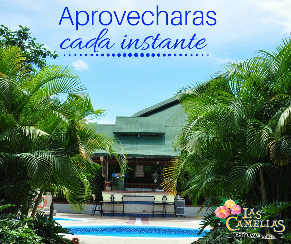 Estamos seguros que aprovecharas cada instante con tu familia en el #HotelCampestre #LasCamelias, realiza tu reserva y déjanos atenderte como te lo mereces.

#Hotel #vacaciones #naturaleza #díasdesol #piscina #verano #diversión #familia 

Haz tu reserva: ow.ly/nrzS30ixehL