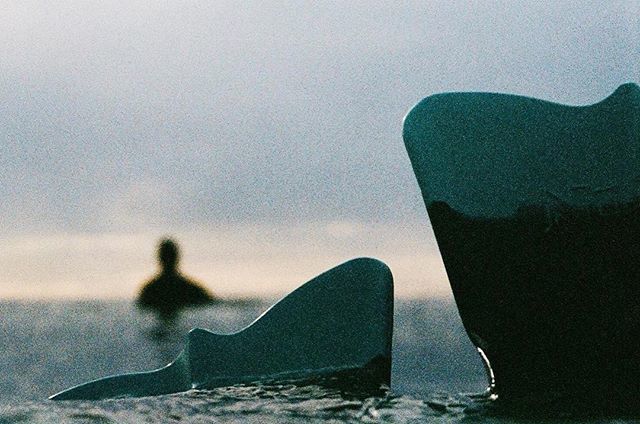 Nikonos_Project's tweet photo. ๐ท @meganshootsfilm
ใปใปใป
This film expired in โ89. Turns out pretty sweet when you push the hell out of it #portravc400 #pushitpushitrealgood #nikonosproject #shootfilm https://t.co/UEdiWTgVMk https://t.co/cLvu3xHBWD
