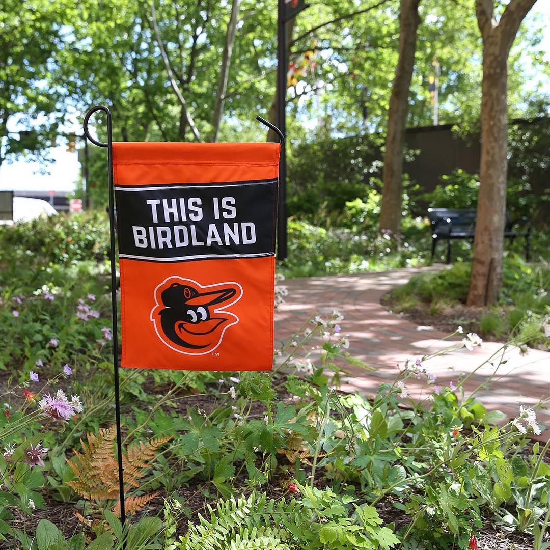 SheratonBmore's tweet photo. Tune in to the best of baseball with tonight's Orioles Hot Stove Show! (photo by @orioles) #Birdland https://t.co/Qfn7zzssTA