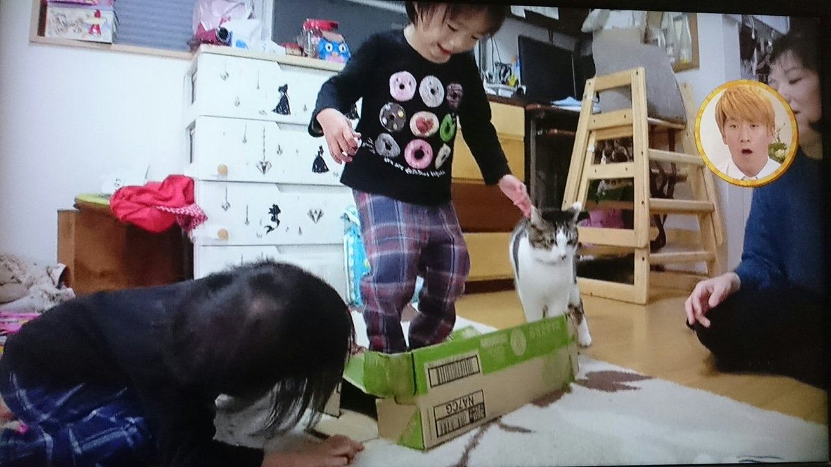 おばさん Auf Twitter 炎上してる 生き物にサンキュー 虐待シーンなどの画像 残酷ですが載せます 許せない犬猫は子供のオモチャじゃない 命の大切さを教えるためじゃないの 命とも思わず子供のおもちゃにしてる親信じられない本当に可哀想 この画像はご自由にお
