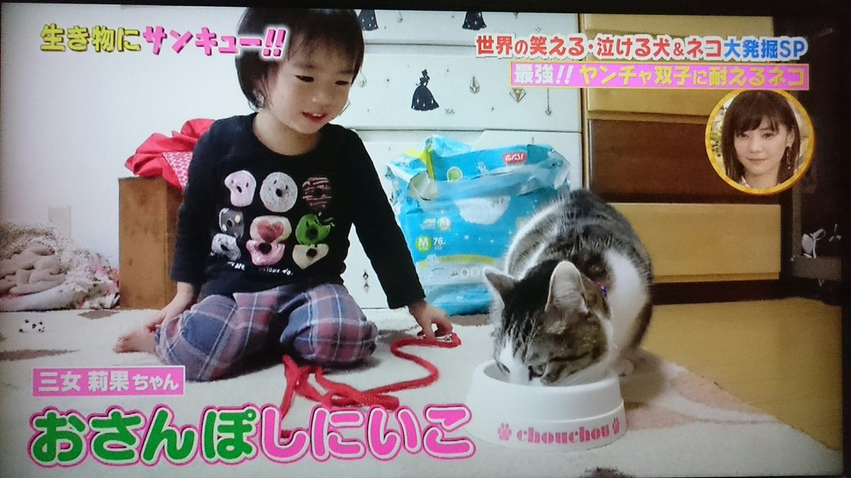 おばさん On Twitter 炎上してる 生き物にサンキュー 虐待シーンなどの画像 残酷ですが載せます 許せない犬猫は子供のオモチャじゃない 命の大切さを教えるためじゃないの 命とも思わず子供のおもちゃにしてる親信じられない本当に可哀想 この画像はご自由にお