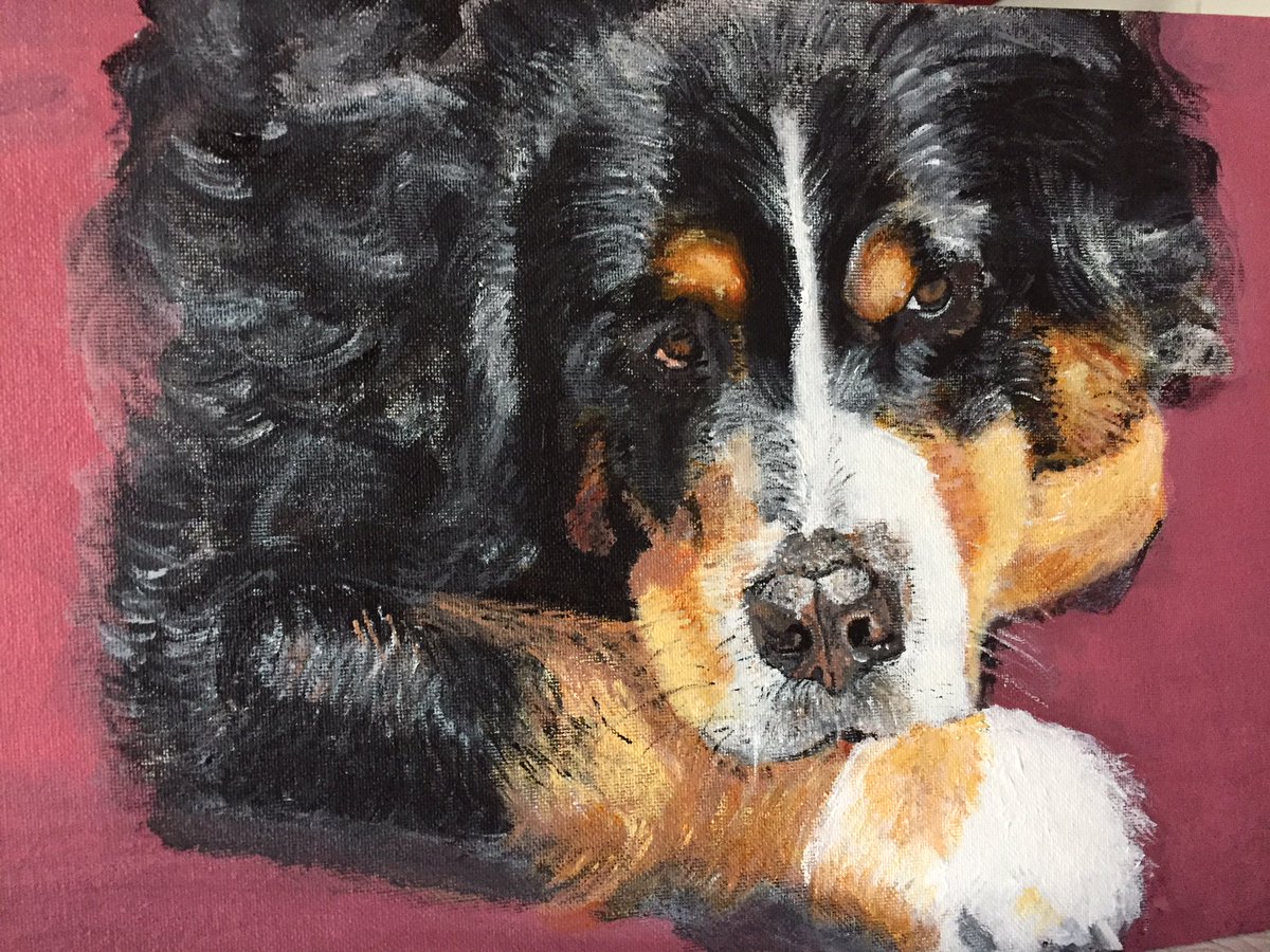 edithcreations's tweet photo. The latest project from https://t.co/ksWovtWqJY #petportraits #animalpaintings #spanielclub #labradorclub #retrieverclub #collieclub #terrierclub #westhighlandterrier #poodleclub #petcats #familypets https://t.co/rK1nMBl5Ql