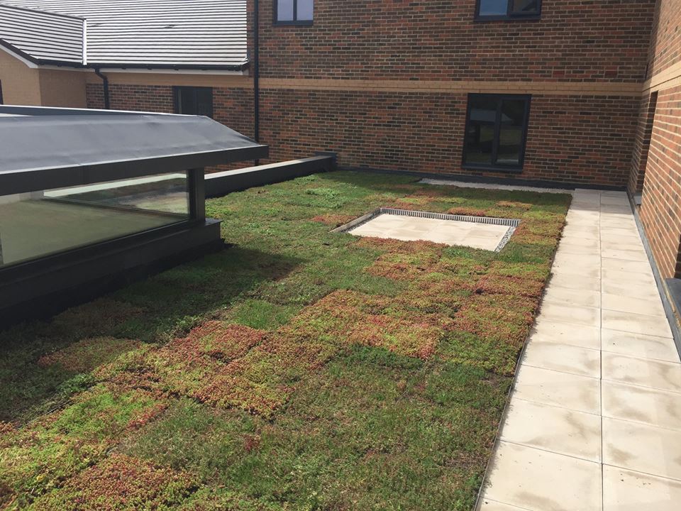 wallbarn's tweet photo. Don't let your property become a missed opportunity...

#greenroofs #greenroof #modulargreenroof #ecofriendly #environmentallyfriendly

Click here - https://t.co/IJlRTpzdI0
Call - 0208 916 2222
Email - sales@wallbarn.com https://t.co/kivbCFucnT