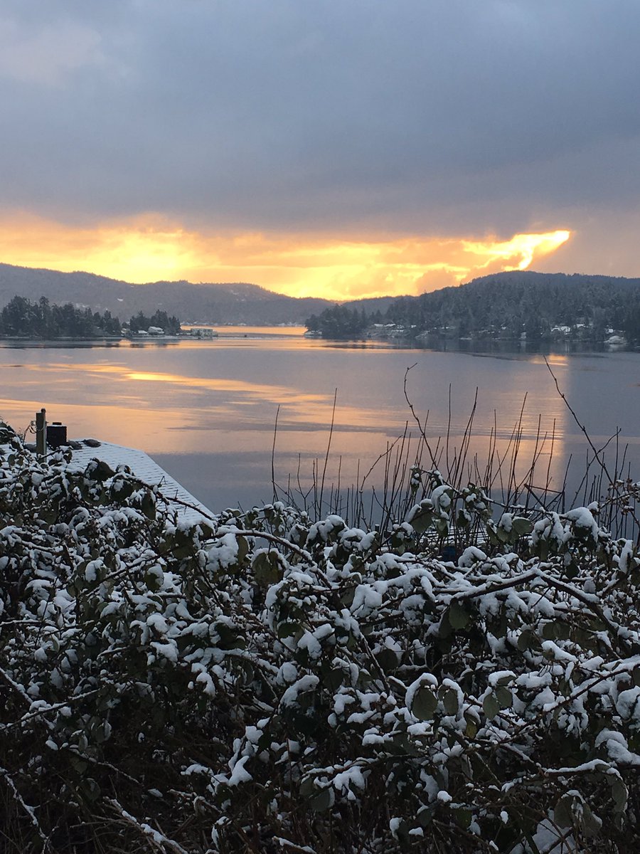WanderingOff's tweet image. Well it snowed a bit, I suppose they'll be shutting down the island. #sooke