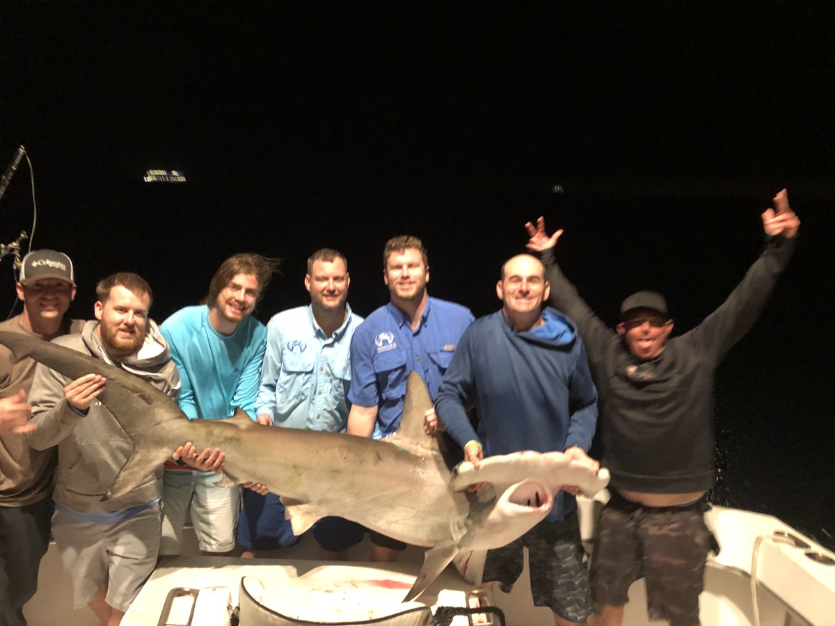 NewLatt Sportfishing tweet media