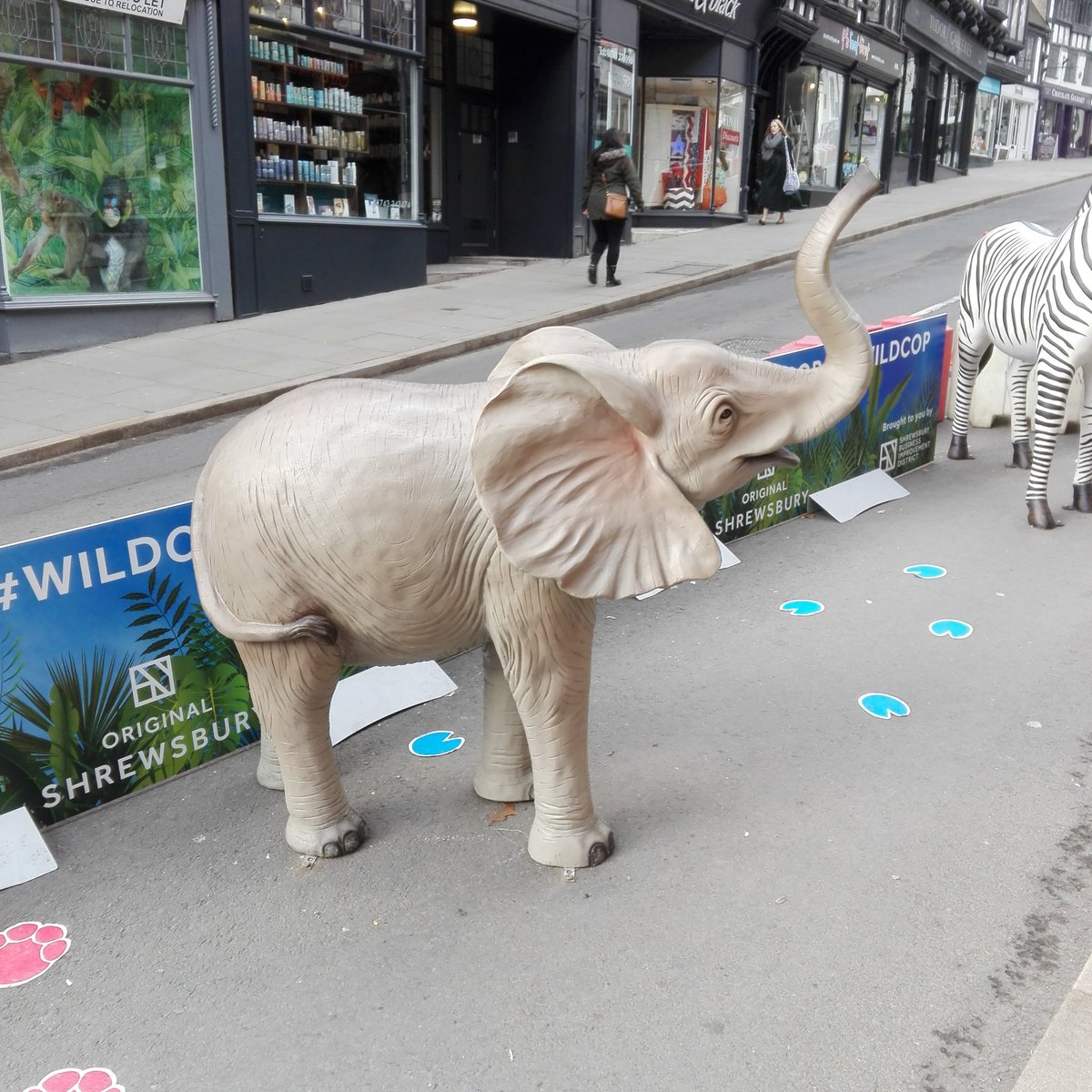 TelfordLaw's tweet image. #WildCop converted into a trunk road.....