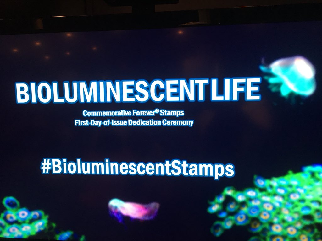 USPScurlita's tweet photo. Just a few minutes before the unveiling of the #BioluminescentStamps @USPS #FDOI https://t.co/EZp9vVJNbH