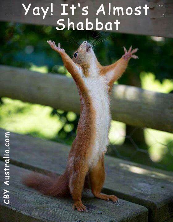 CBY_Australia's tweet photo. https://t.co/8HDWWN3td6  Almost Shabbat. #TimeWithAbba #SabbathRest #TGIF #Breathe https://t.co/yLJmMRfX7b