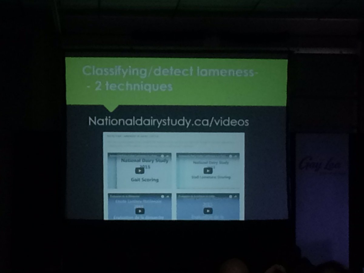 NatNewby1's tweet photo. Dr Stephanie Croyle on lameness: we are not looking enough at lameness-tougher to pick out mildly lame cows! We need to get better. Resources: https://t.co/L5Ikd6dgER #talktoyourvet #talktoyourhooftrimmer #PreventionWorks #SWODS2018 https://t.co/gPgDPS9lqr