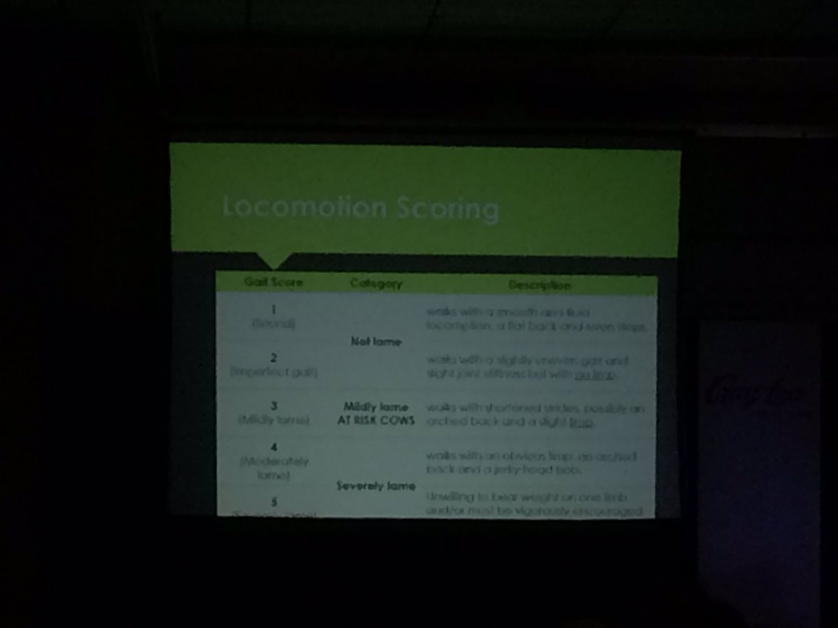 NatNewby1's tweet photo. Dr Stephanie Croyle on lameness: we are not looking enough at lameness-tougher to pick out mildly lame cows! We need to get better. Resources: https://t.co/L5Ikd6dgER #talktoyourvet #talktoyourhooftrimmer #PreventionWorks #SWODS2018 https://t.co/gPgDPS9lqr