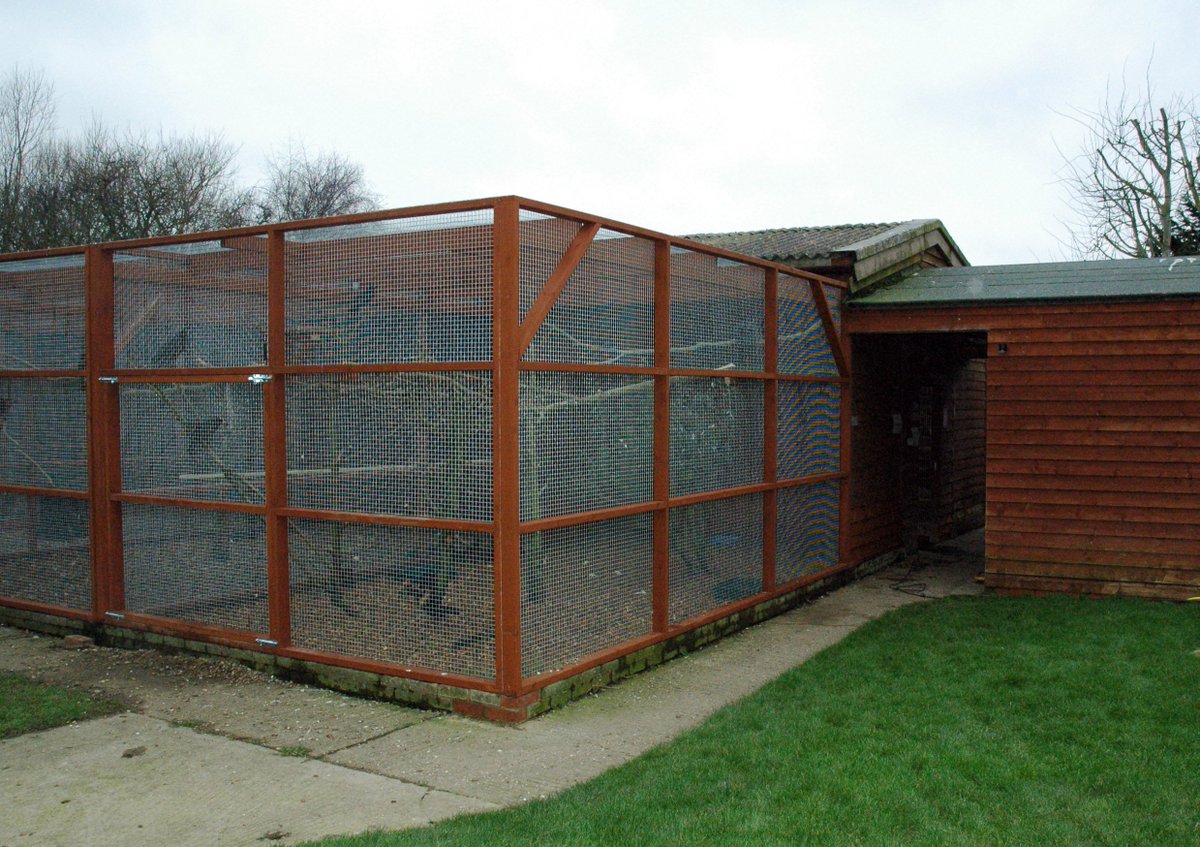 Our aviaries have recently had a makeover. Thanks so much to <a href="/twsplastics/">Twsplastics</a> for kindly donating all the guttering!