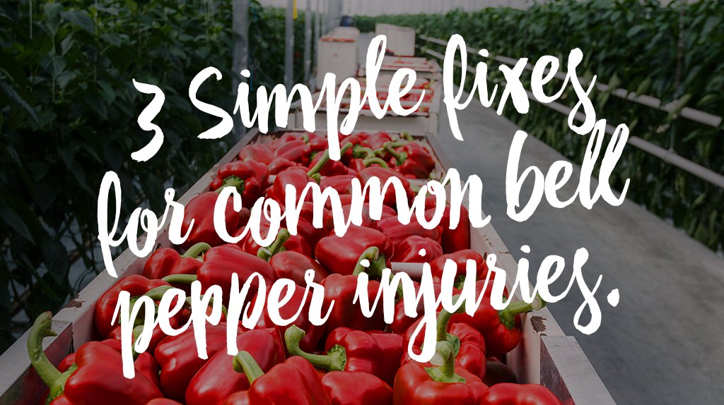 DoubleDiamondAr's tweet photo. Storing your bell peppers to help them last longer is easier than you might think. Click to find out just how easy! #DoubleDiamondFarms #FlavorGrowsHere #Peppers https://t.co/gluRbgi3pe https://t.co/B4RCijTCwX