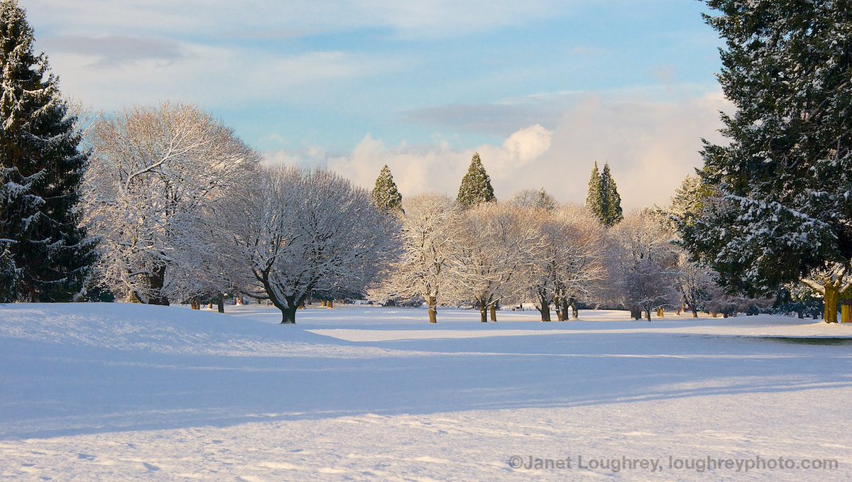 LoughreyJanet's tweet image. The view across from my house this morning. Yes, Virginia, it does snow in Portland, though not usually this late. So much for spring. At least it&apos;s pretty. #snowgoaway #springintowinter