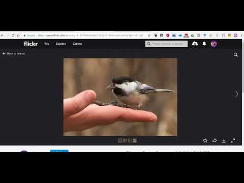 crewsertech's tweet photo. How to Use Google Sheets to Create a Bingo Board With Pictures https://t.co/naQjJJGrYc https://t.co/Oux02NhD9O