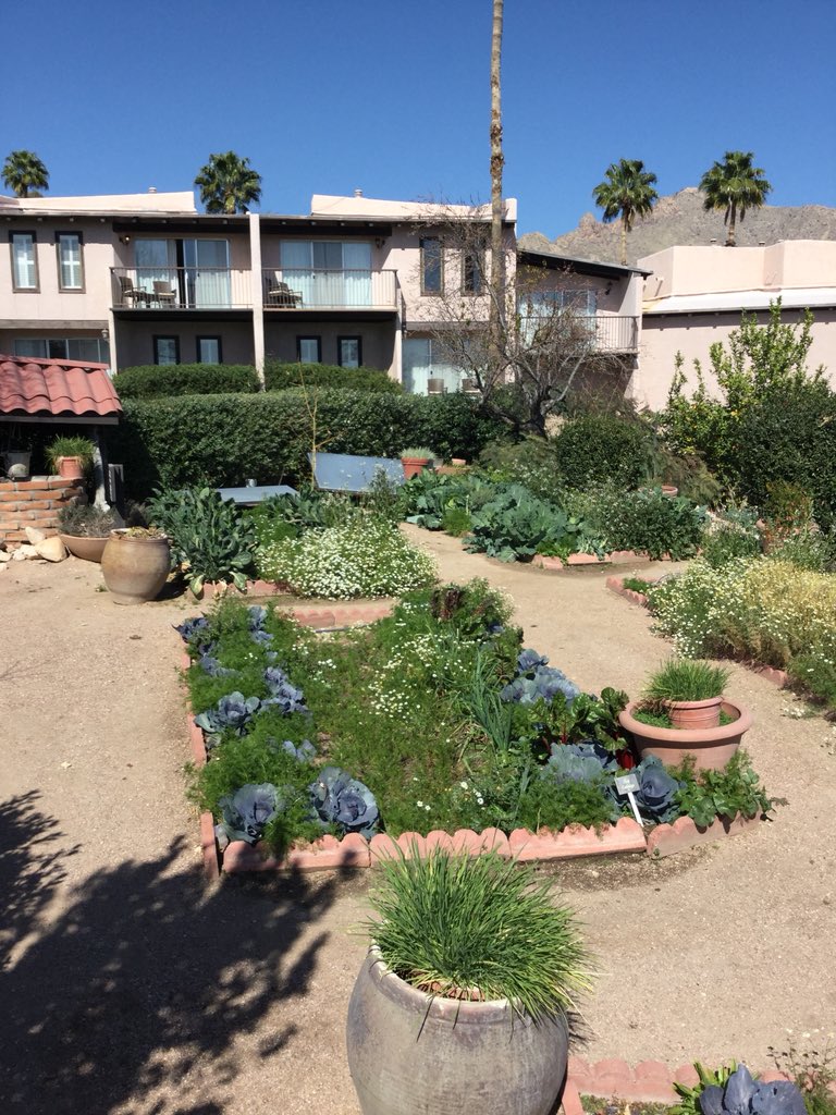 Westward_Look's tweet photo. Raymundo and his team of professionals are constantly transforming the Westward Look into a living museum! Schedule a tour of our property with Raymundo and he will personally take you around and show you the secrets Tucson has to offer! To make reservations, Call 520-297-1151. https://t.co/XBJXdUIQXb
