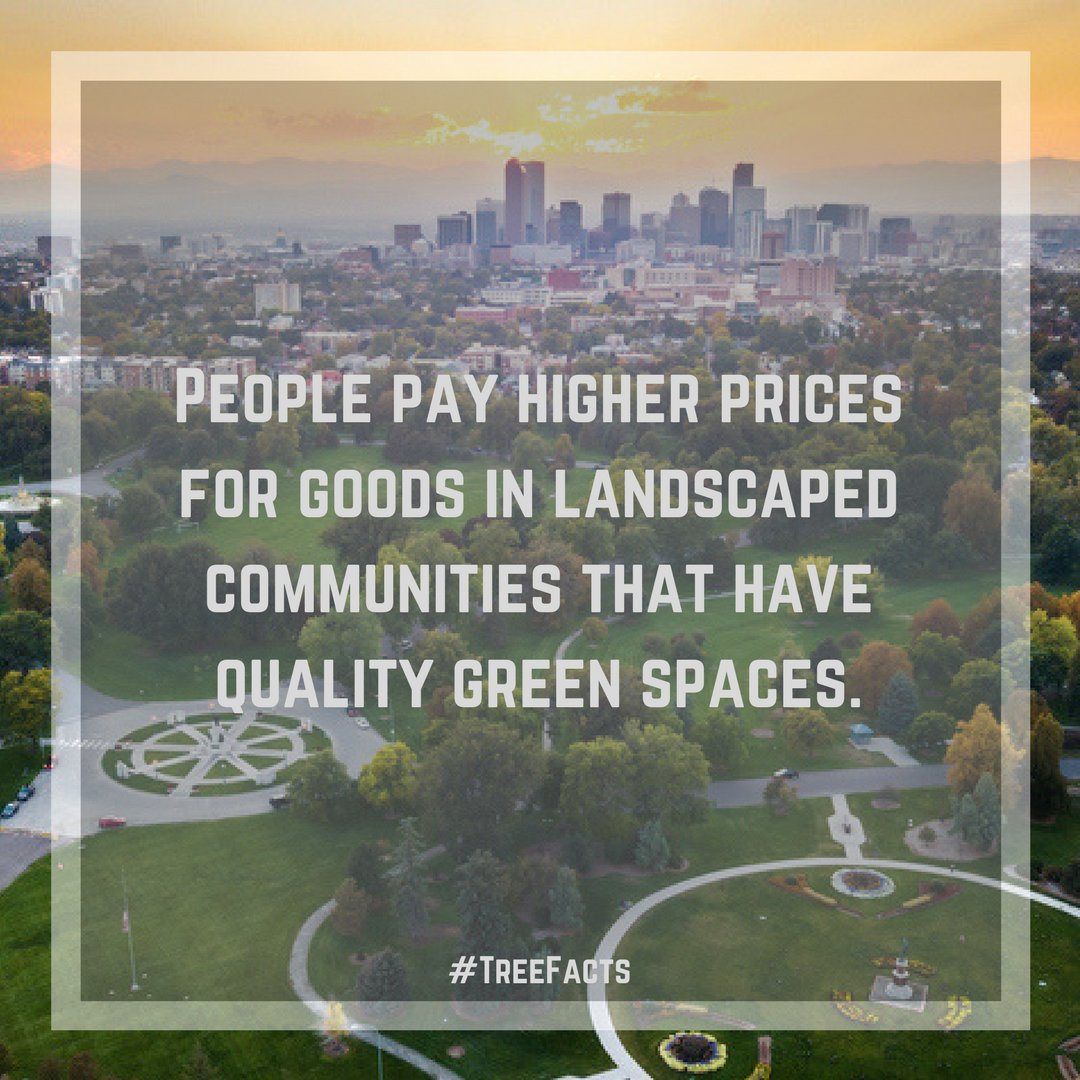 alliance4trees's tweet image. Can you relate?

Know the facts. #UrbanTree #TreeFacts