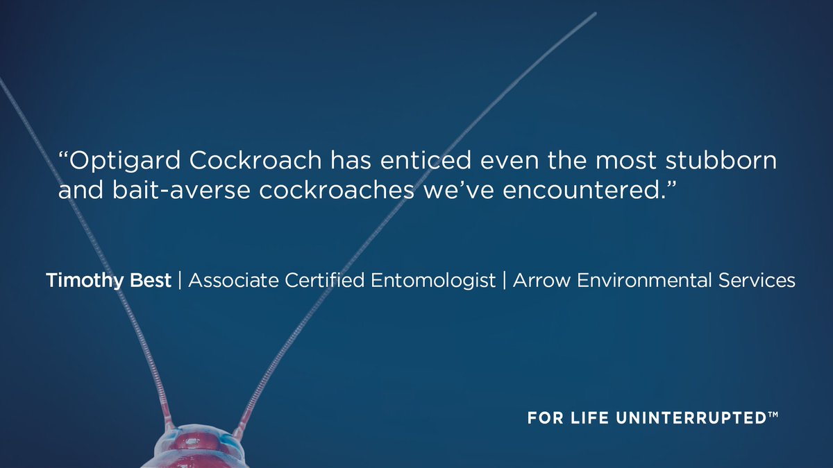 SyngentaPest's tweet image. Improve your resistance management strategy for #cockroaches w/ the unique AI of Optigard Cockroach. ow.ly/EDED30irZEN #CockroachSolutions