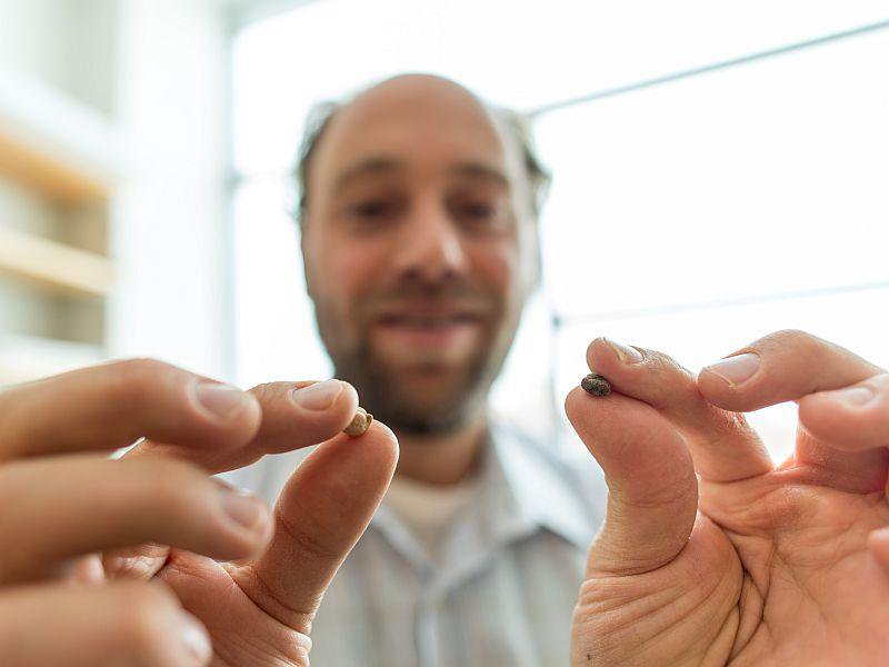 UVM Researcher Travels The World To Build A Better Chickpea dlvr.it/QHRrwl https://t.co/WjQUbcTA96