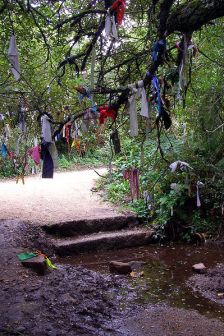 stampandcoin's tweet photo. Wish trees were a common way to give offerings to local deities or in an attempt to rid oneself of disease & it’s possible that this is the origin of inserting coins into the bark of a tree. https://t.co/jfxRaqhcHA #cointrees #coinhistory #numismatics #trees #folklorethursday https://t.co/6Hqn5x2JA8
