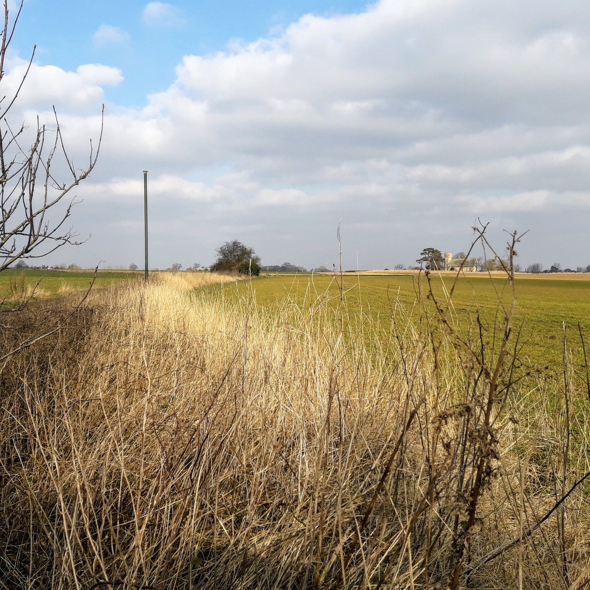 Broads_LPS's tweet photo. What a great morning learning about the defence of #Acle during World War II. We'll be clearing out some of the pillboxes around the town & developing a new trail for people to explore this heritage as part of the Water, Mills & Marshes scheme. #BroadsHiddenHeritage #WW2Pillboxes https://t.co/OJ2zLjsSVO