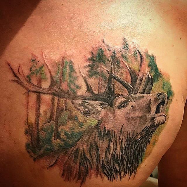 Steelpoint's tweet photo. This woodland piece with this animal is awesome, just looks so peaceful and calming, just so beautiful!
#TeamSteel https://t.co/94dRhbmWY7