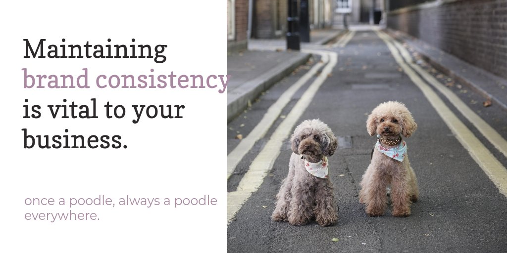 pawsmarketing's tweet photo. Be yourself all along. Then you won't have to worry about maintaining #brandconsistency #Branding #Marketing #marketingtips https://t.co/bgOl9y7XgG